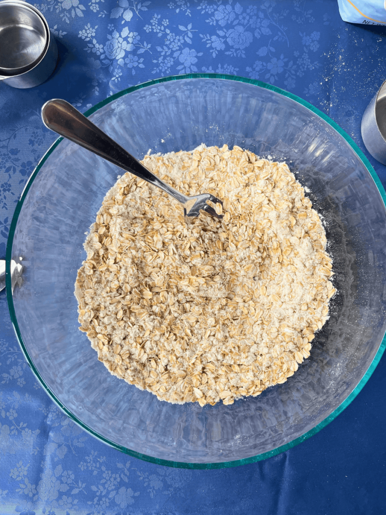old fashioned rolled oats and vanilla protein powder mixed together in a glass bowl