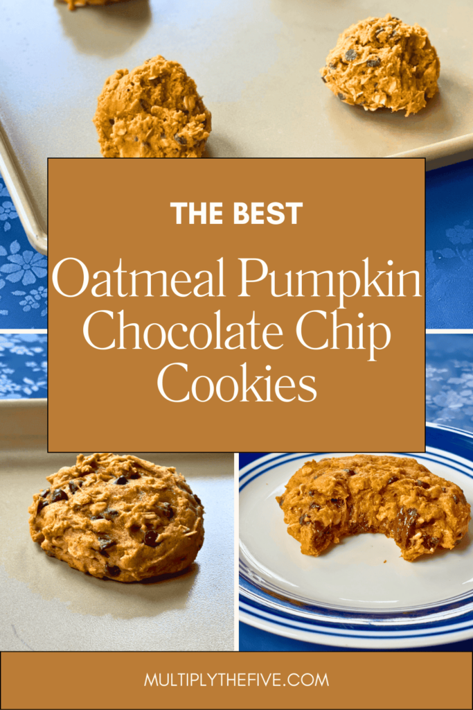pin image for oatmeal pumpkin chocolate chip cookies to save for later