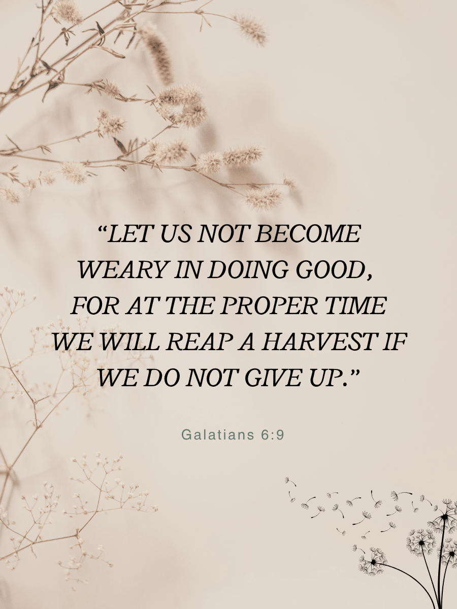 galatians 6:9 written on a natural background with plants