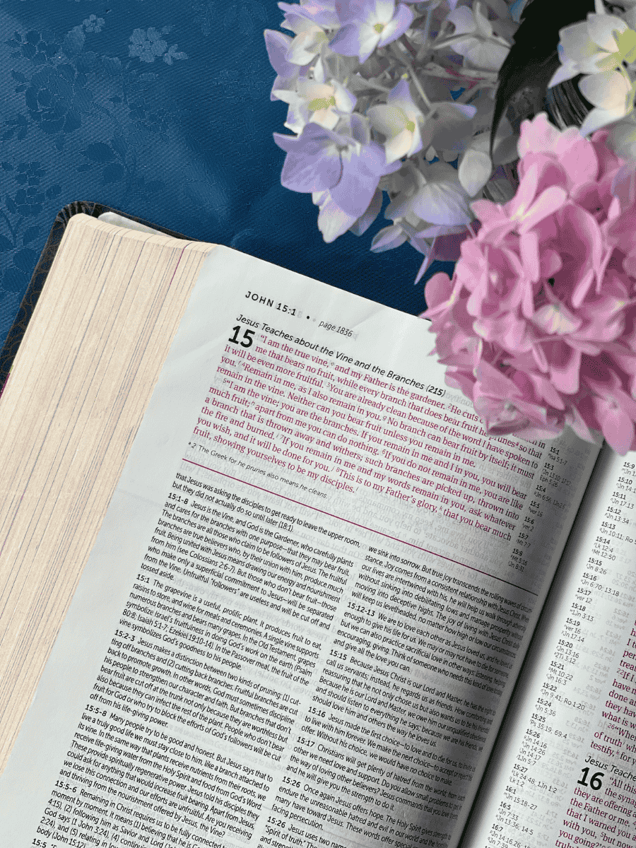 overhead shot of bible opened to John 15 next to a jar of hydrangeas