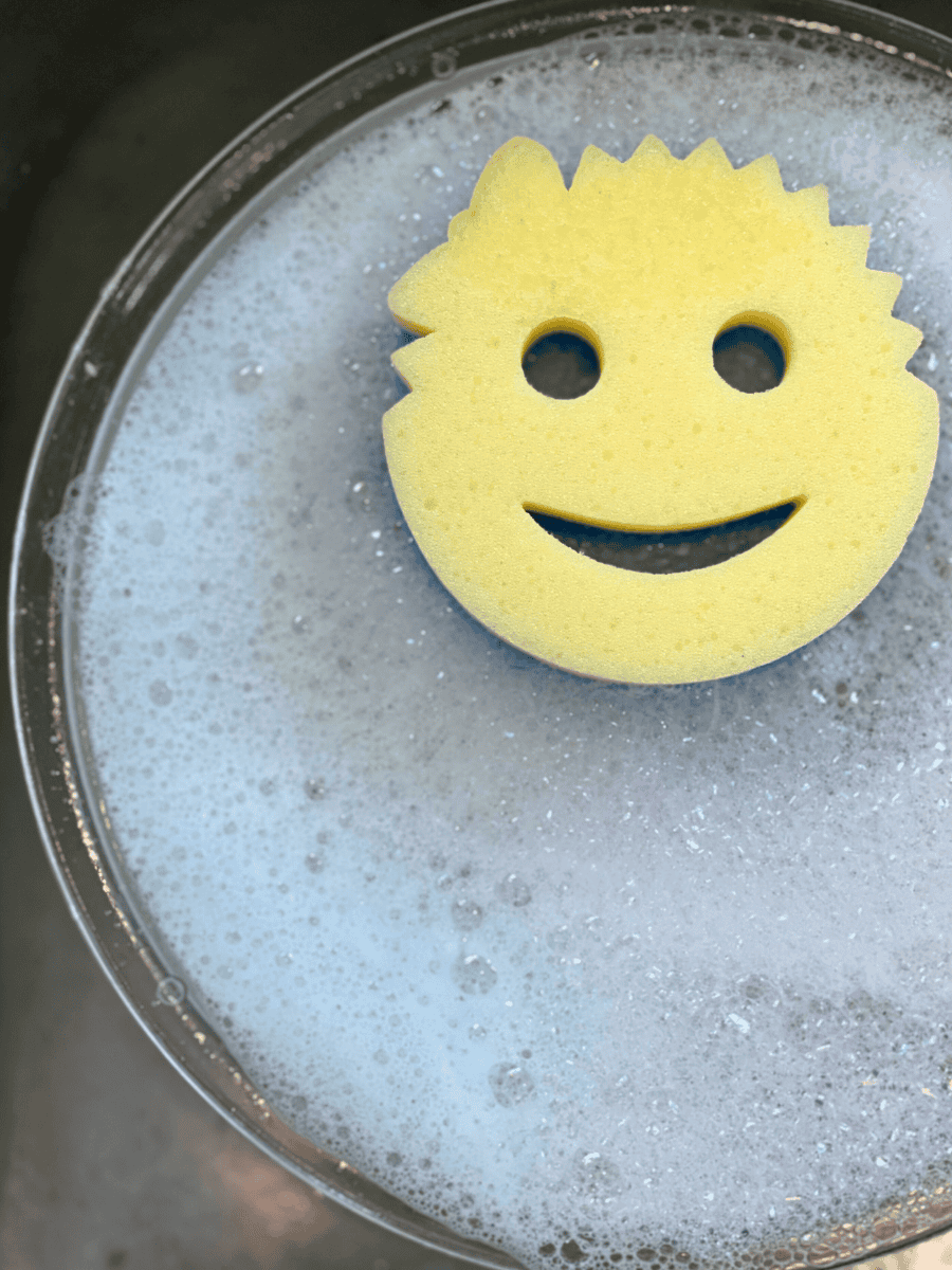 scrub daddy in bowl of soapy water
