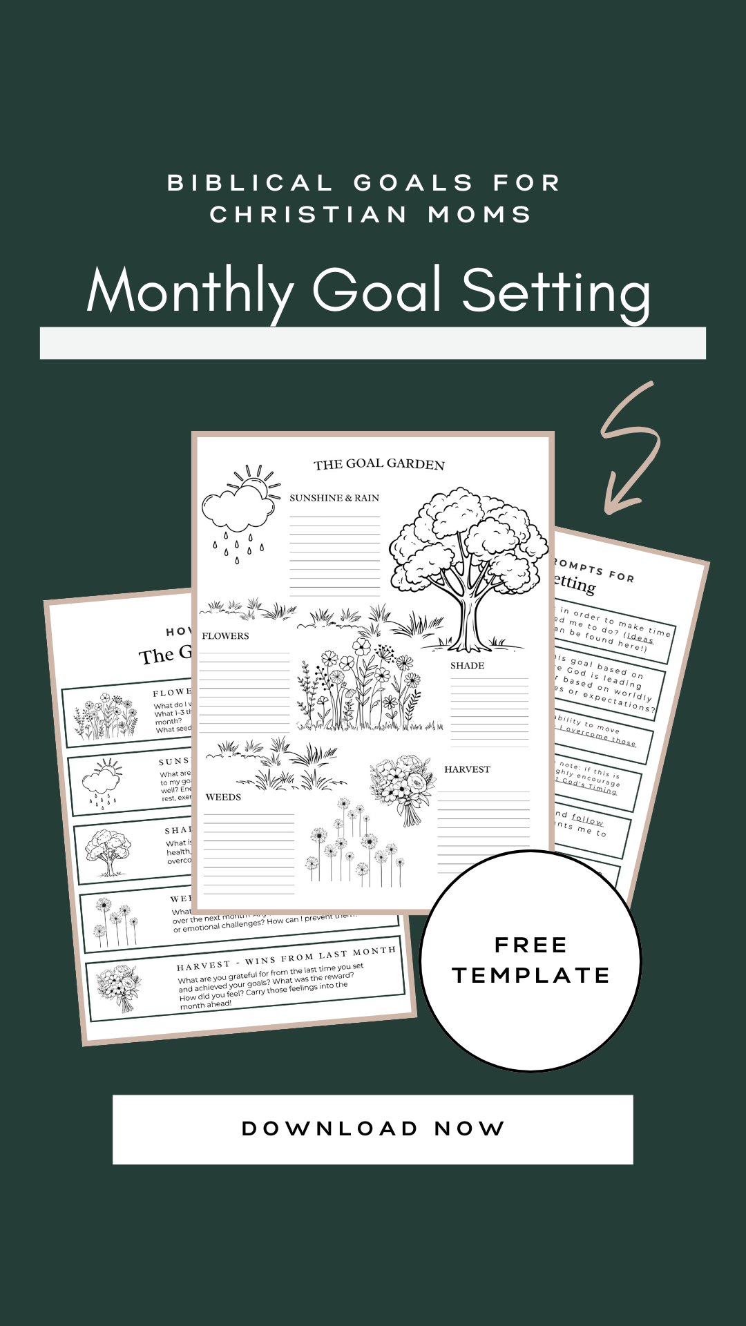 monthly goal setting template pin