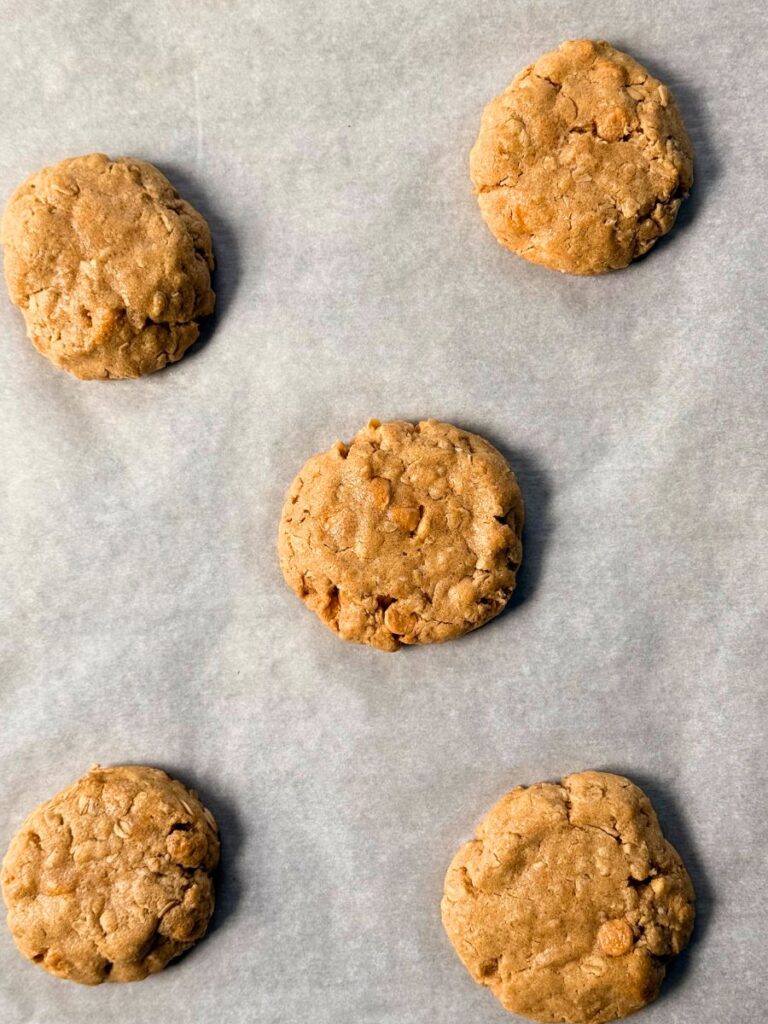 peanut butter oatmeal cookies with butterscotch chips cooling on parchment paper