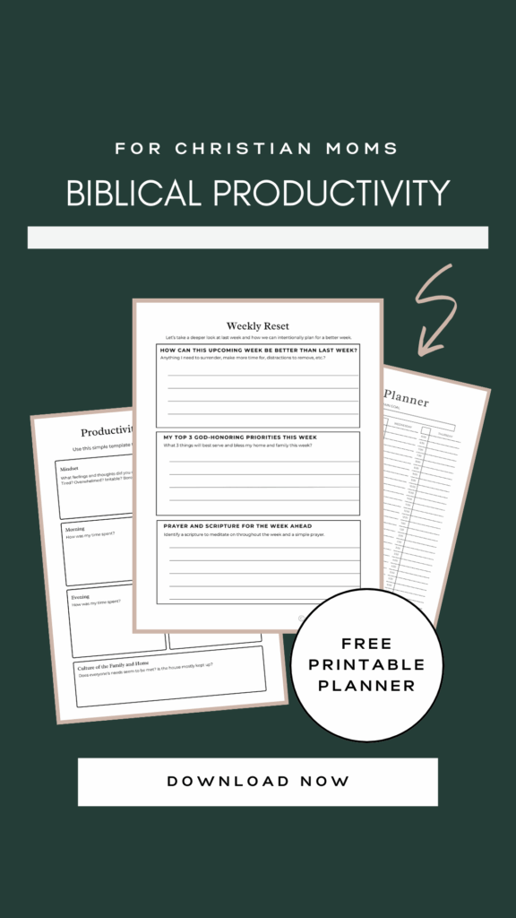 preview of biblical productivity planner pages